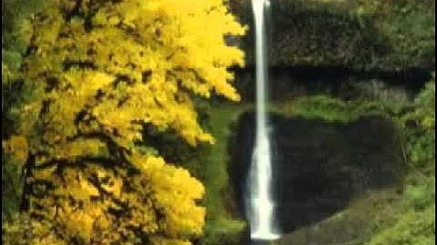 اجمل تلاوة للشيخ الصغير محمد البراك سورة الجن