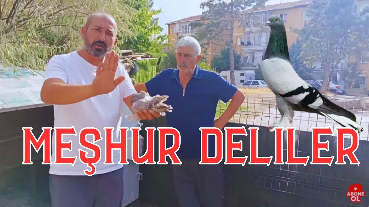 Deli Lakabını Alan Oyun Delisi Kuşları Bir Daha Bulamasınız Bu Pazar Hızlı Olan Kazanır.