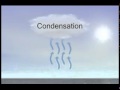 Cycles of Nature and Their Impact on Life