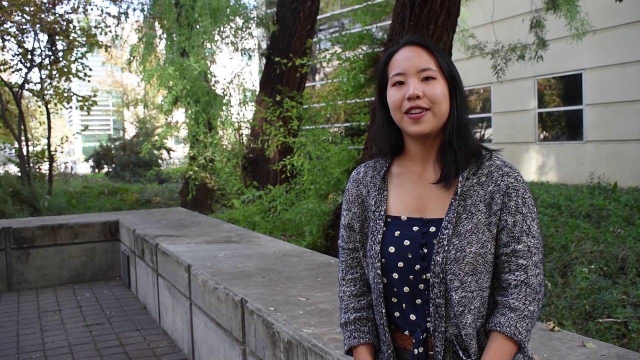 Cavity nesting birds   Alison Ke