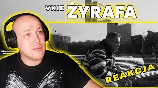 Download Lagu B-I-G VKIE, TO TRZĘSIE🔴VKIE - Żyrafa🦒REAKCJA MP3