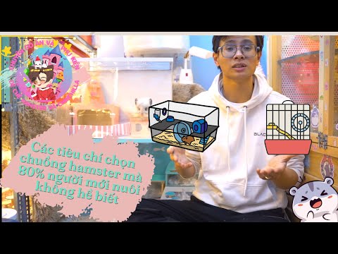 Video Những tiêu chí chọn chuồng hamster mà người mới nuôi... - youtube