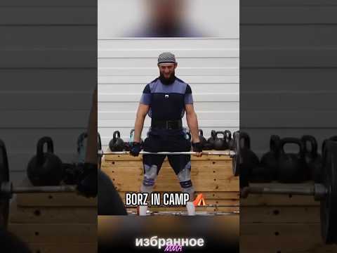 Хамзат Чимаев на сборах в Приэльбрусье #ufc #mma #khamzatchimaev