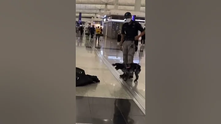 香港警察 警犬队 - 天天要闻