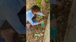 सेवा धन #shortsviral #primaryschool #youtubeshort #viralshort #ytshorts #tree #plants #birds#youtube
