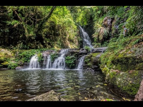 lamington national