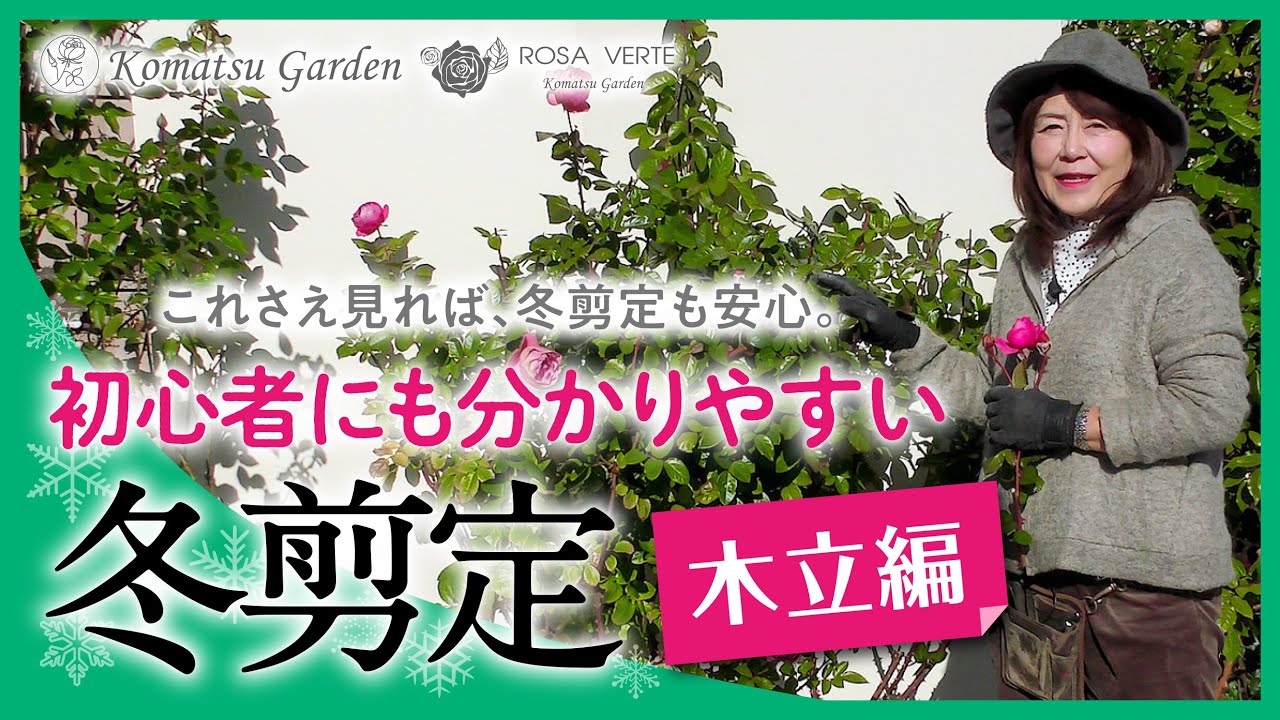 【バラの剪定】初心者にも分かりやすい冬剪定　木立編