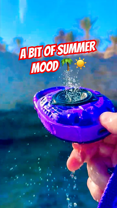 Sunny Vibes ☀️🎶