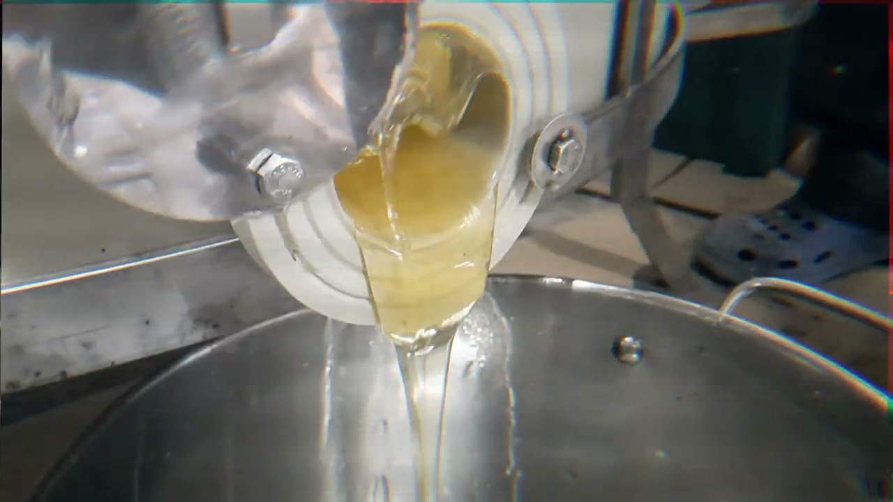 Repce méz pergetés 2023.