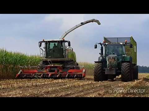 Mais hakselen 2018 van donselaar woudenberg met hun claas jaguar 950