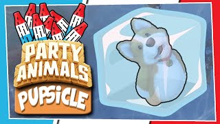 Frozen Pupsicles!!! Party Animals Freezing Funny Moments