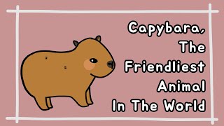 [Eng] Capybara, The Friendliest Animal In The World│Terry's Cute Animals