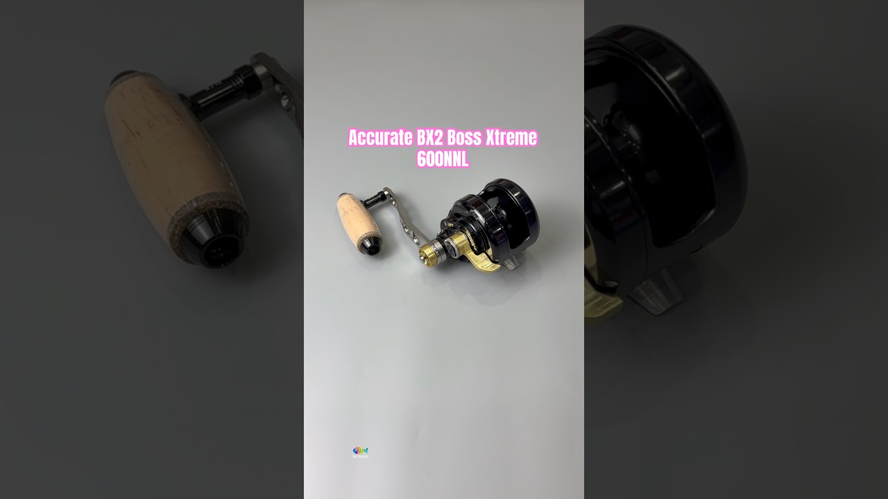 Accurate BX2 Boss Xtreme 600NNL #shopđồcâusàigòn