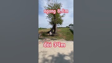 Đất thổ cư giá rẻ| Diện tích 300m2 ngang 8,8 dài 34m, xã Mỹ Lộc- Cần Giuộc #bdscangiuoc