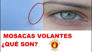 MOSCAS VOLANTES - QUÉ SON Y PORQUE LAS TENEMOS