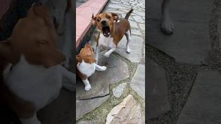 Education Is Important Eğitim Önemli