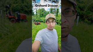 Orchard Disaster, Healthy Trees