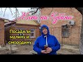 Ейск🌹Работаем в огороде. Посадили малину и смородину... Варька.