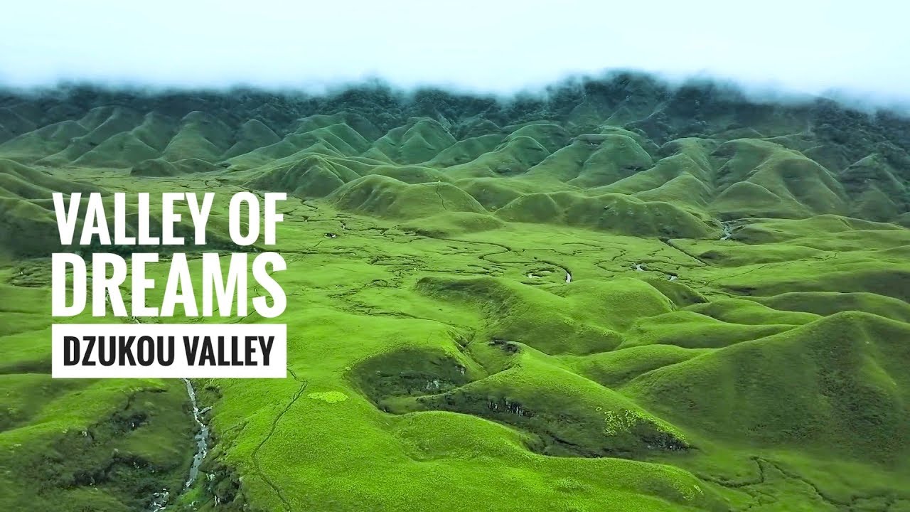 DZUKOU VALLEY | BLOOMING FLOWERS |TRAVEL VLOG - YouTube