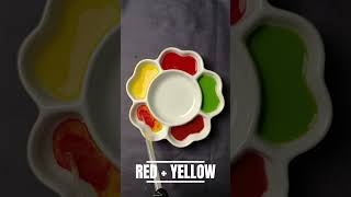 What Happens When You Mix Red, Yellow & Green 🎨😱 | New Shades Revealed! #youtubeshorts