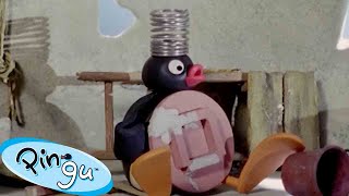 Pingu Hard at Work  | Pingu  Official Channel | Cartoons For Kids