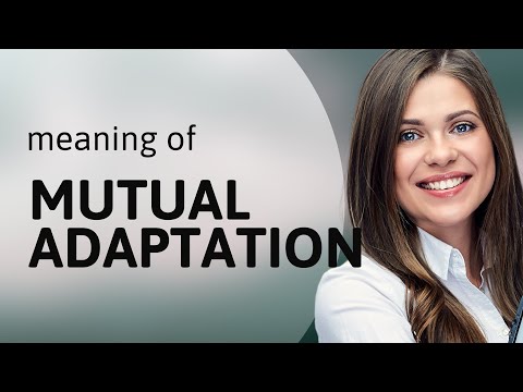 Mutual Adaptation Navigating Changes Together