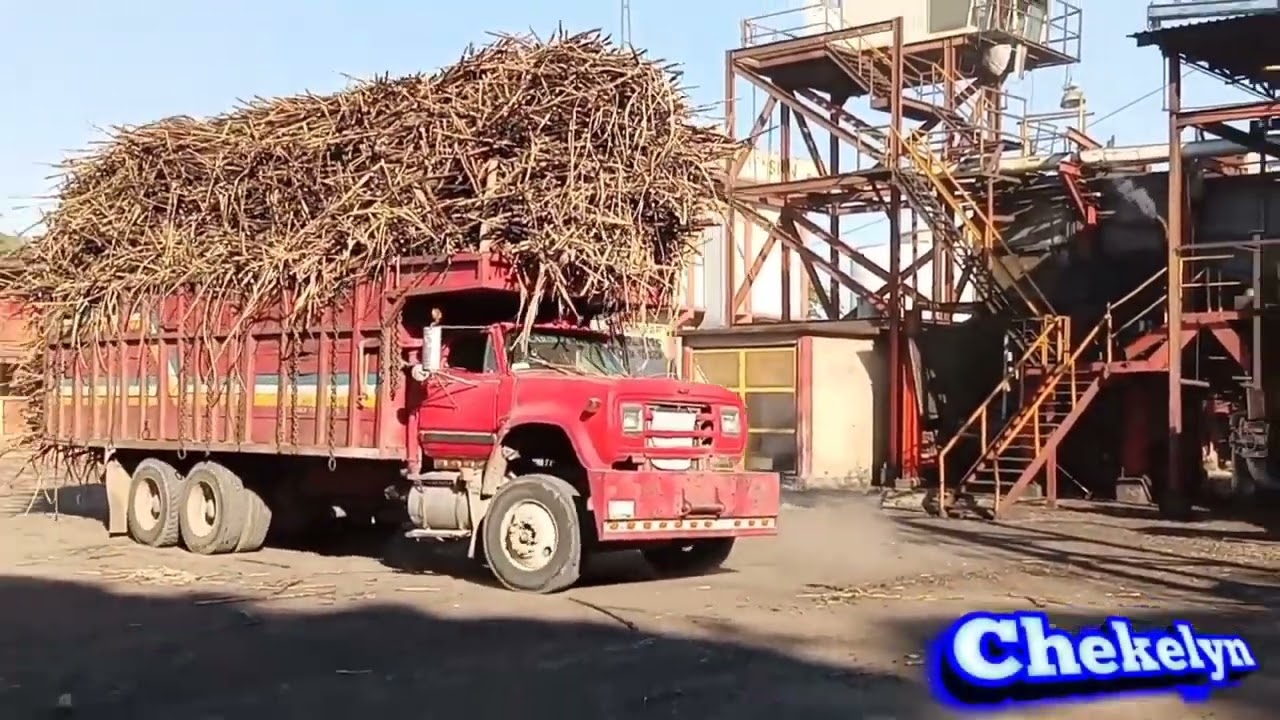 Así se descarga Un carro Cañero #carros #caña #azúcar #ingenio