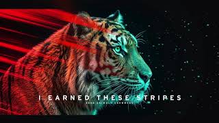 I EARNED THESE STRIPES [Deep House Music]