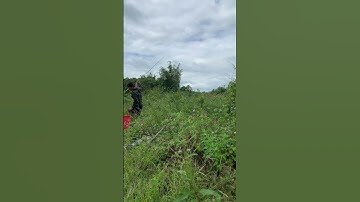 #shorts trình tày vlog câu lure cá lóc câu cá giải trí #56 #fishing #cauca #vlog