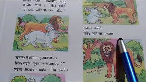 Ch-2 आकाशः पतति