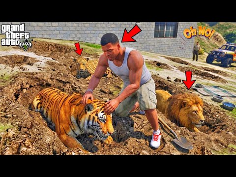 Franklin Rescue Secret Buried Animals in GTA 5 