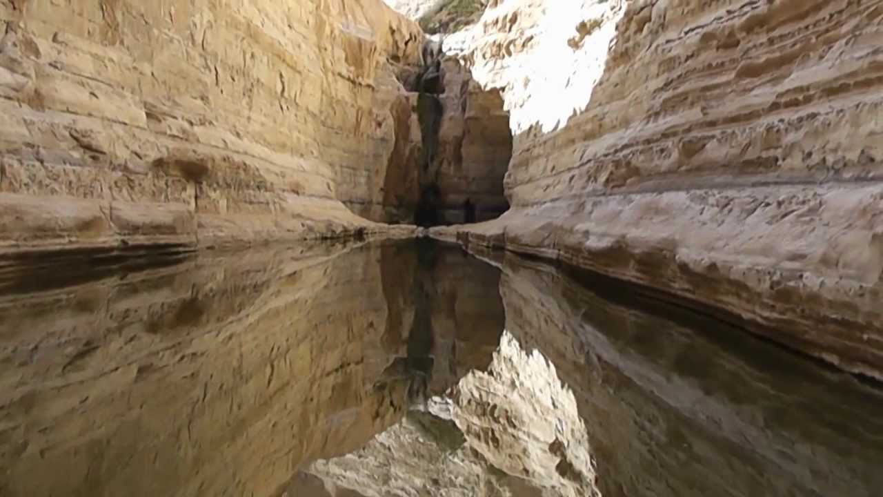 ein avdat 2012 - YouTube