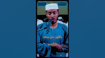تلاوة خاشعة الشيخ عفيف محمد تاج سورة يوسف
