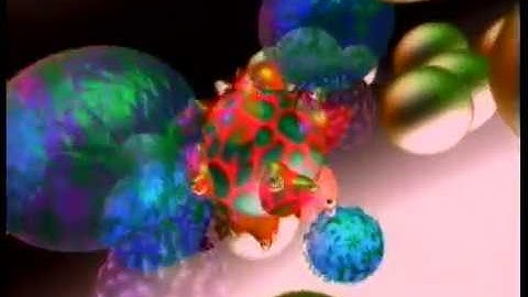 The Conception