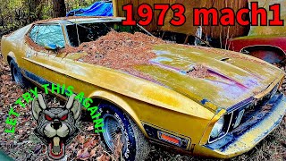 1973 mustang Mach1 it's back and will try to get it right this time! 1973 mustang Mach1 it's back and will try to get it right this time!