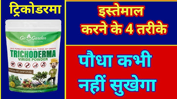 किसी भी पौधे में, Trichoderma Ka Istemal Kaise Karen: 4 साइंटिफिक तरीके | #ट्रिकोडरमा