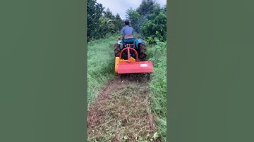 Phát cỏ trục băm .Sđt 0914300779 Lĩnh.