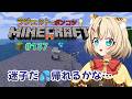 冒険中に迷子‼️やばい!帰れるかな💦 #minecraft #マイクラ