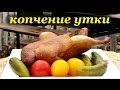 Рецепт копчения утки горячим способом