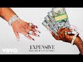 Maiya the don  expensive visualizer ft flo milli