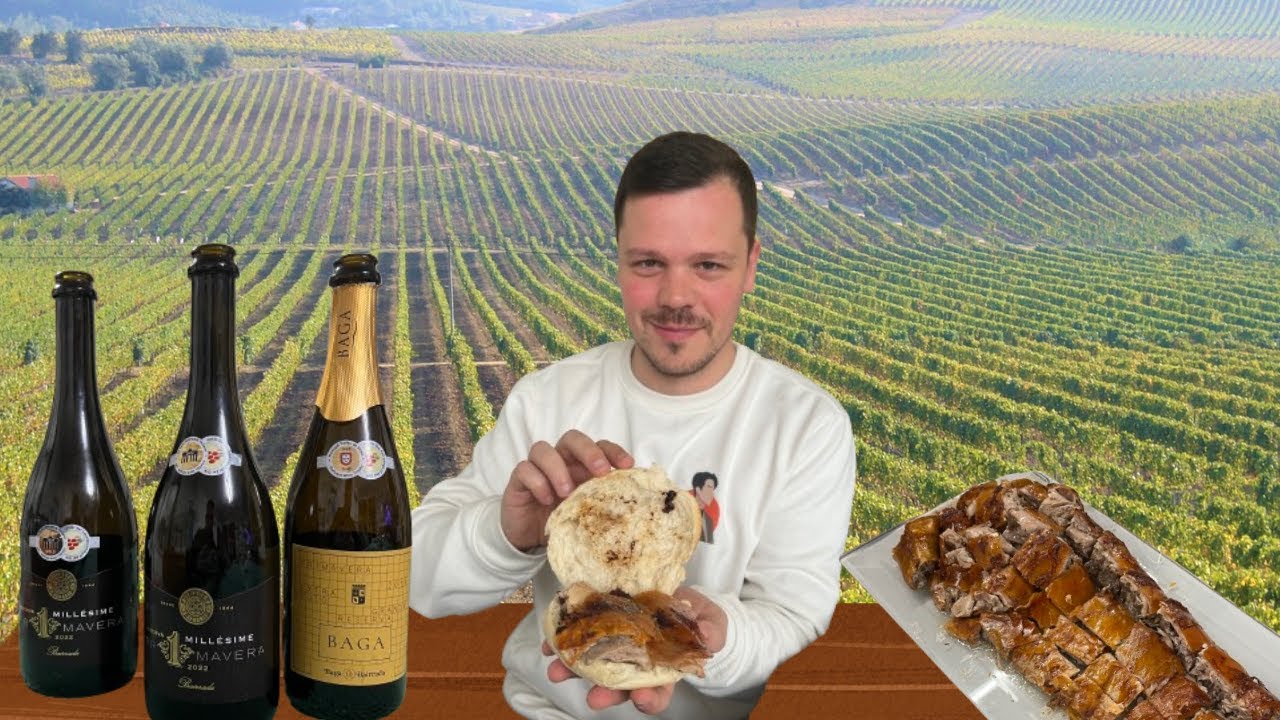 Guia Oficial das Sandes de Leitão da Bairrada Norte — A Tradição Está Viva!