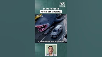 Cá mập thời tiền sử khủng đến mức nào?