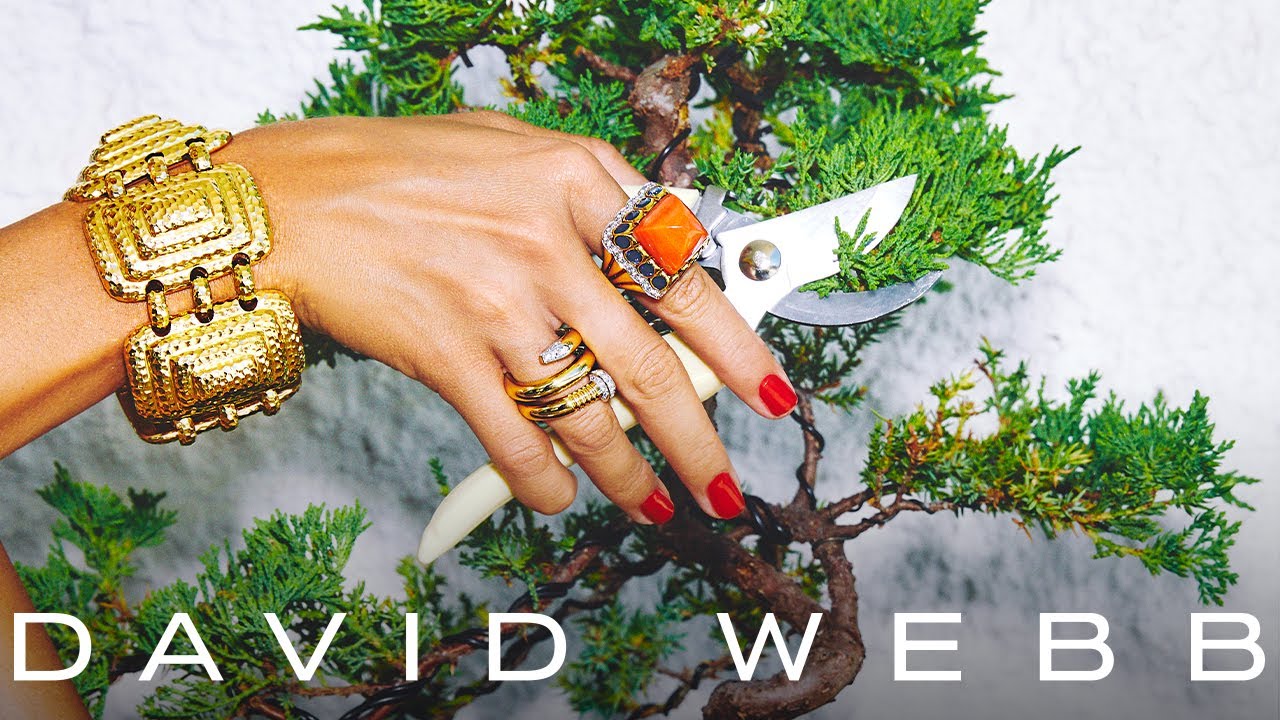 David Webb | Beverly Hills Calling