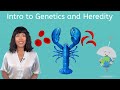 Genetics Unveiled: Chromosomes, Alleles, and Traits in Living Organisms