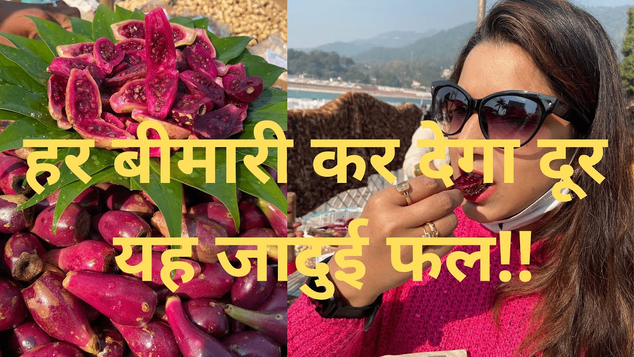 [ Tried Ramphal ? ] Rishikesh (ऋषिकेश) का जादुई फल | FRUIT WITH NATURAL ...