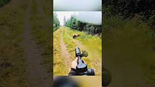 Face to Face with a Giant Bear| USA Hunting Adventure #hunting #huntingvideo#bearhunting#viralvideo
