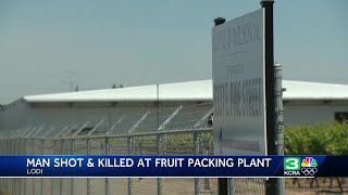 Man shot and killed at fruit packing plant in Lodi