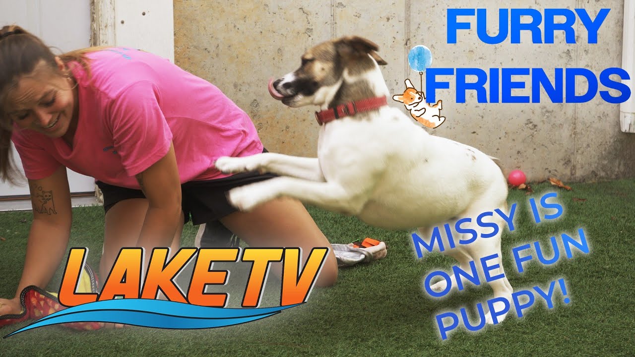 🐾 Furry Friend of the Week: Meet Missy!🐾 - YouTube