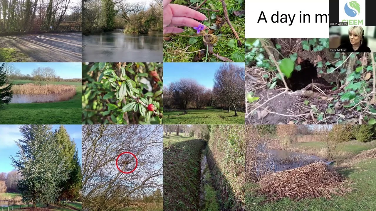 How to become an Ecologist