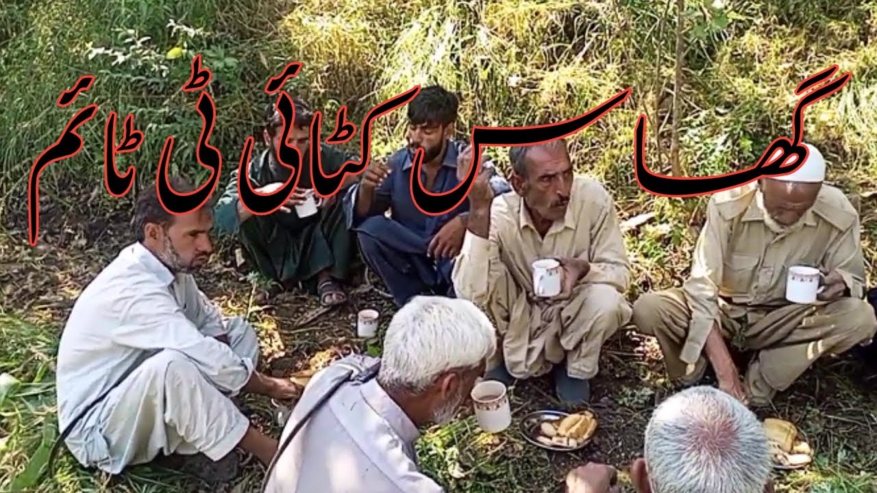hazara traditional gross cutting||gross cutting tea time||village simple life||village traditions